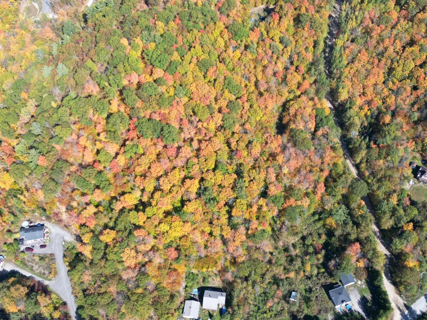Photo aérienne - 56 Ch. Du Mica, Val-Des-Monts, QC