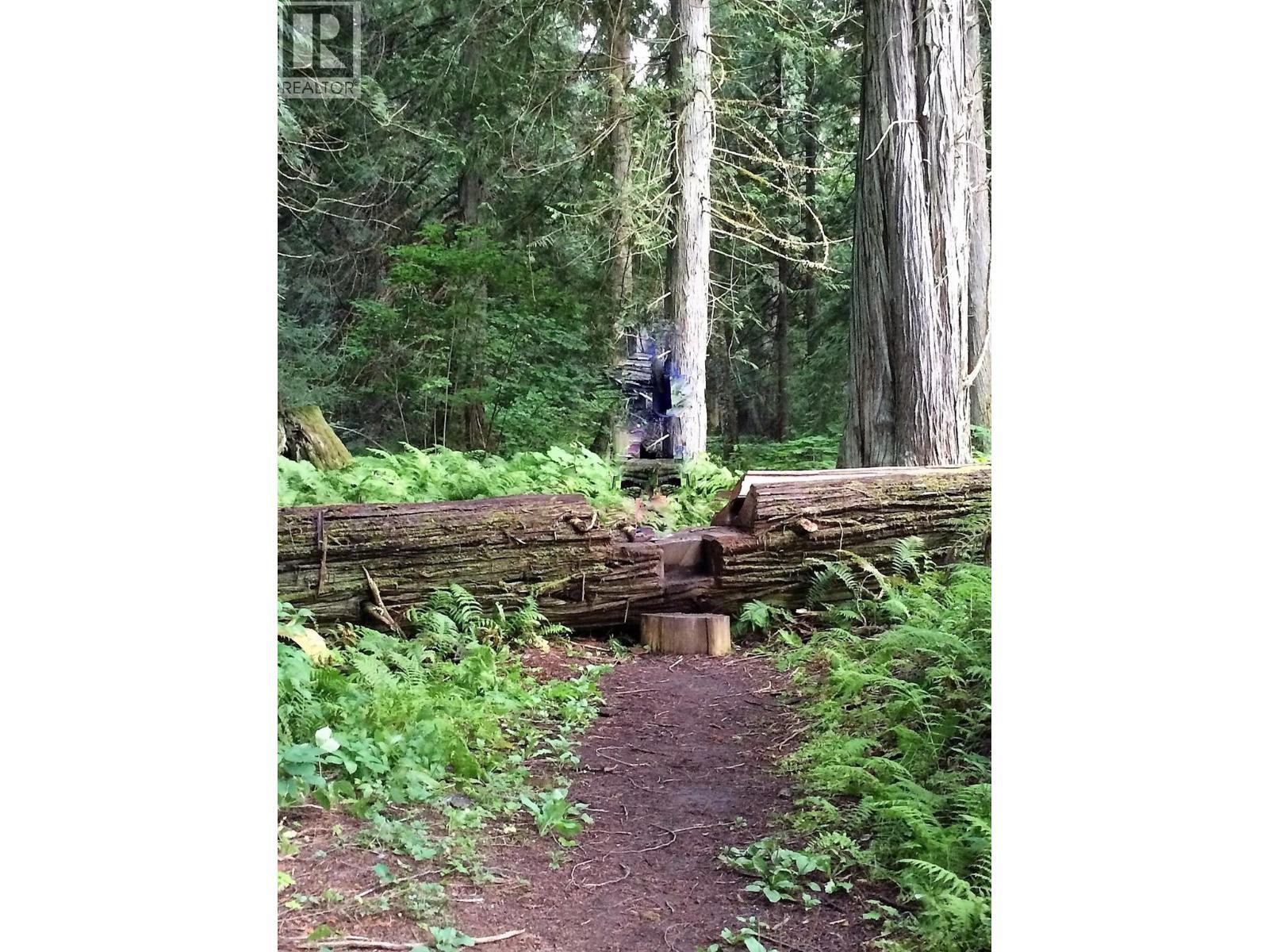 34199 Luoma Road Unit# 153, Malakwa, BC