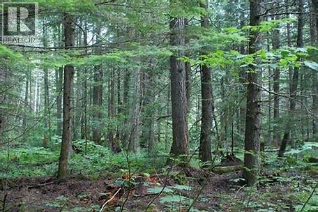 34199 Luoma Road Unit# 153, Malakwa, BC