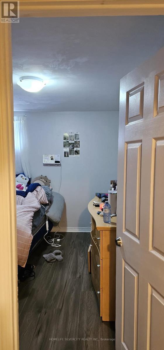 Basement - 498 Meadows Boulevard, Mississauga, ON - Indoor