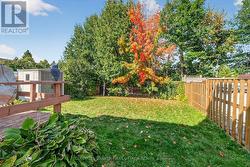 Fully Fenced Yard -
