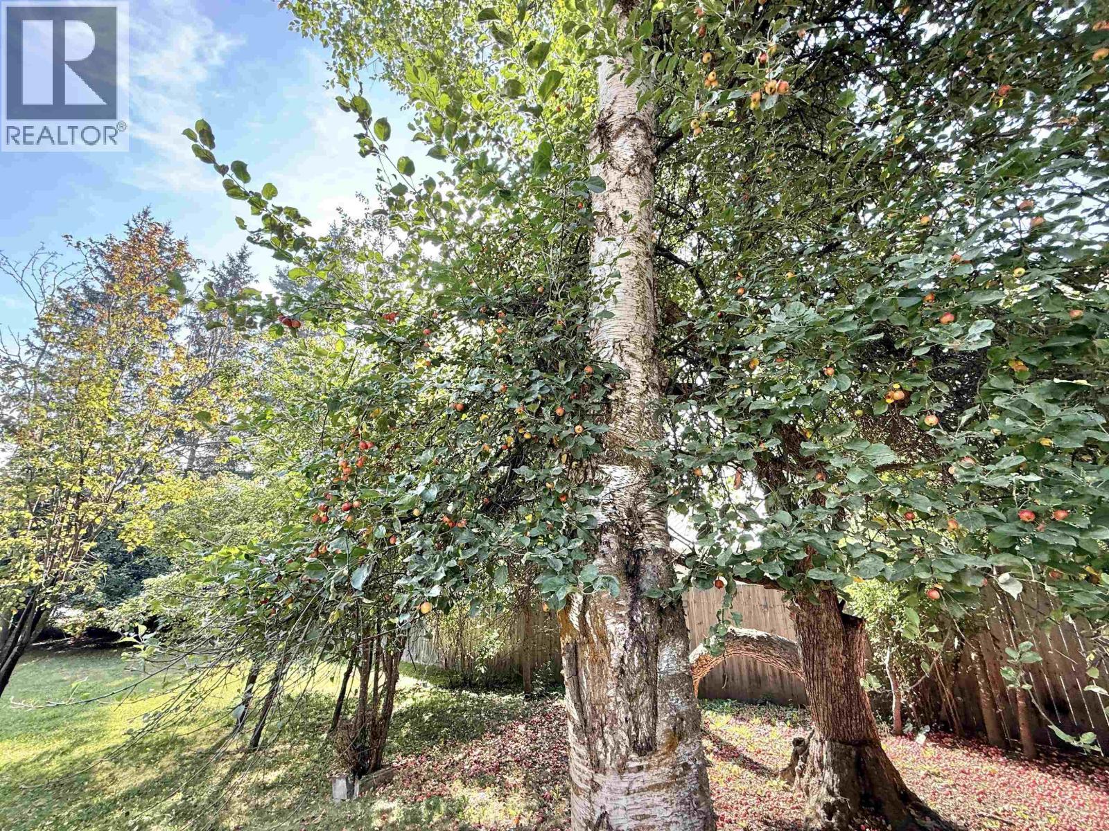 551 Edkins Street, Quesnel, BC