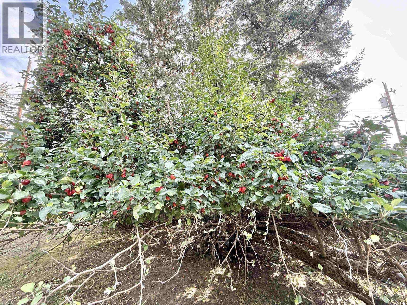 551 Edkins Street, Quesnel, BC