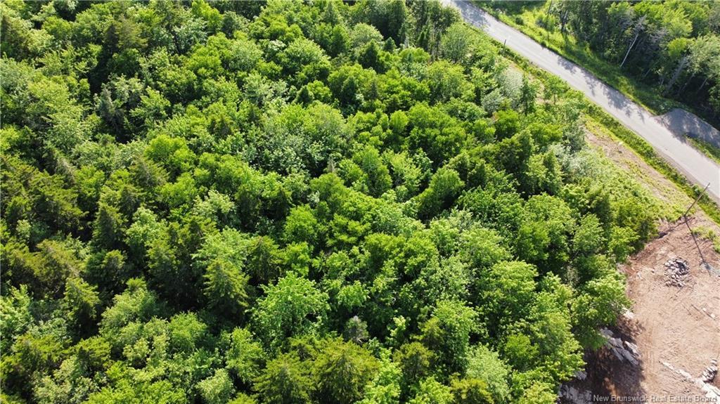 Lot 21-56 Orchard Ave, Irishtown, NB