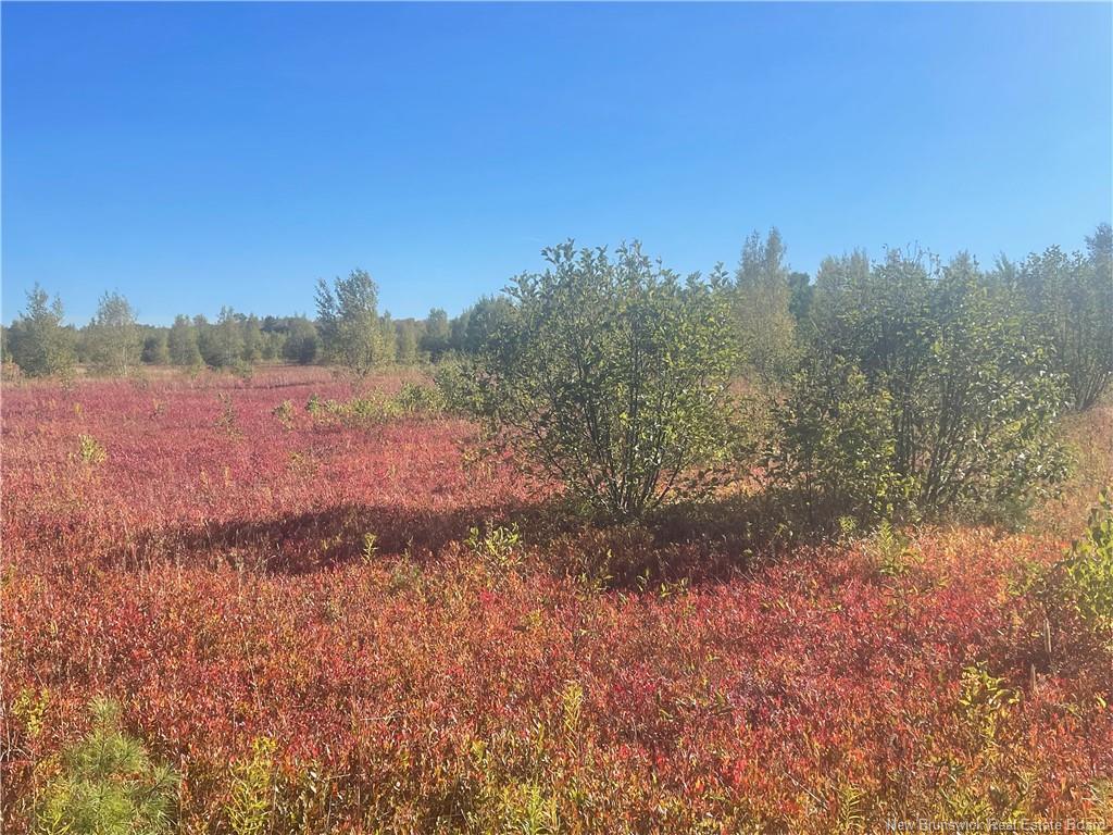 525 Tilley Rd, Tilley Road, NB