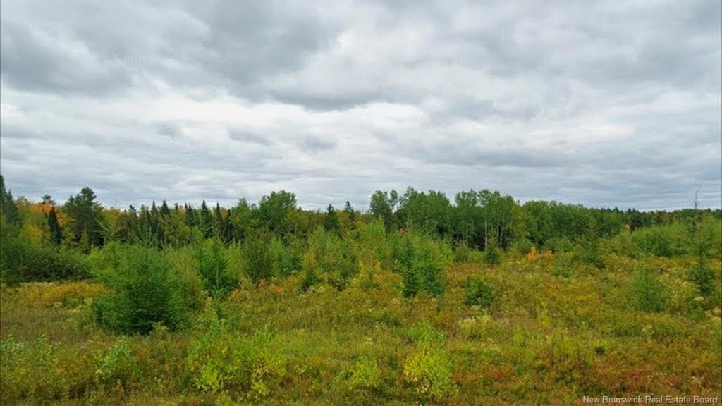Lot North Black River Rd, Black River Bridge, NB