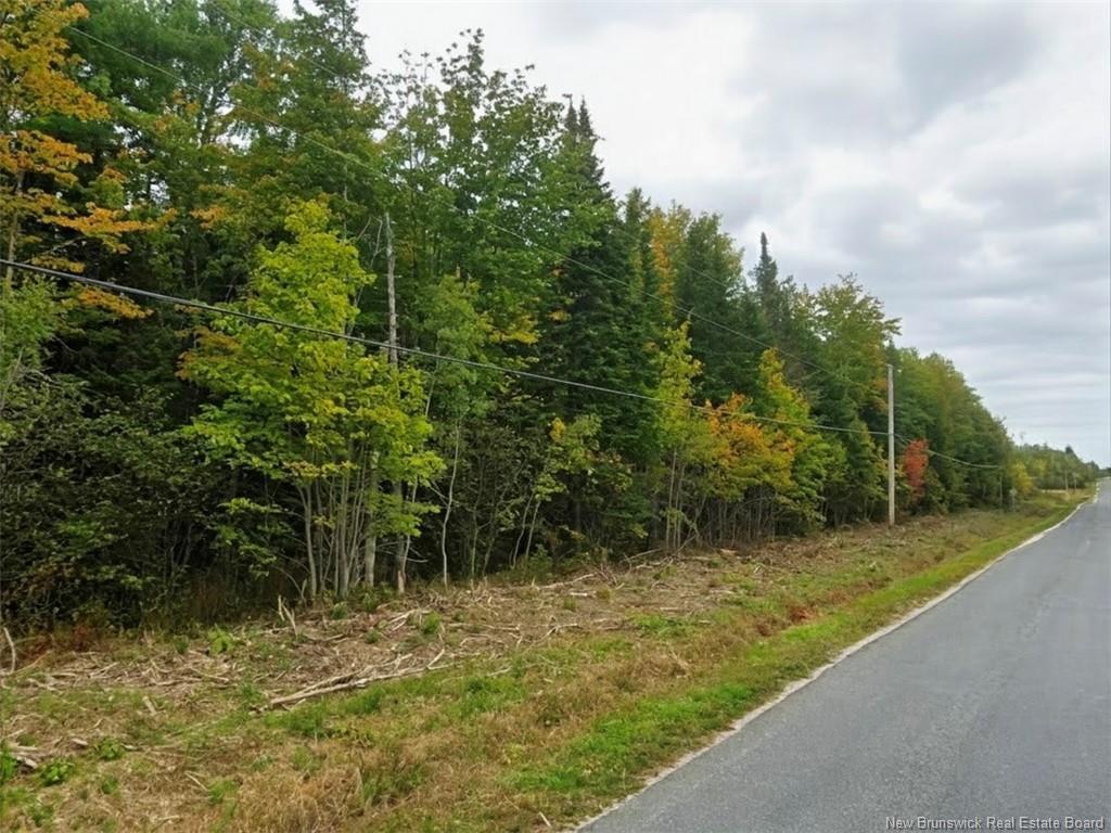 Lot North Black River Rd, Black River Bridge, NB
