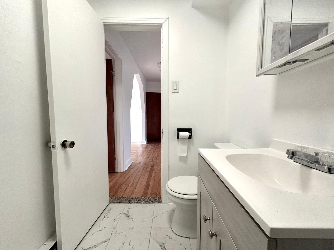 Bathroom - 4-4570 Rue Bélanger, Montréal (Rosemont/La Petite-Patrie), QC - Indoor Photo Showing Bathroom