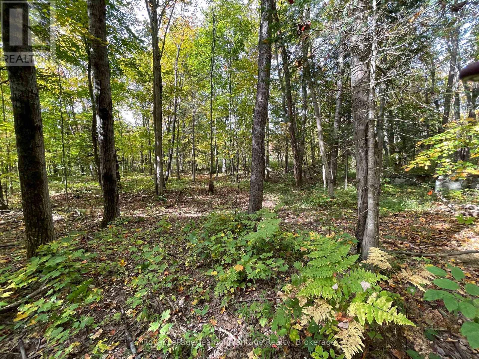 Lt 23 Con 10, Carling, ON