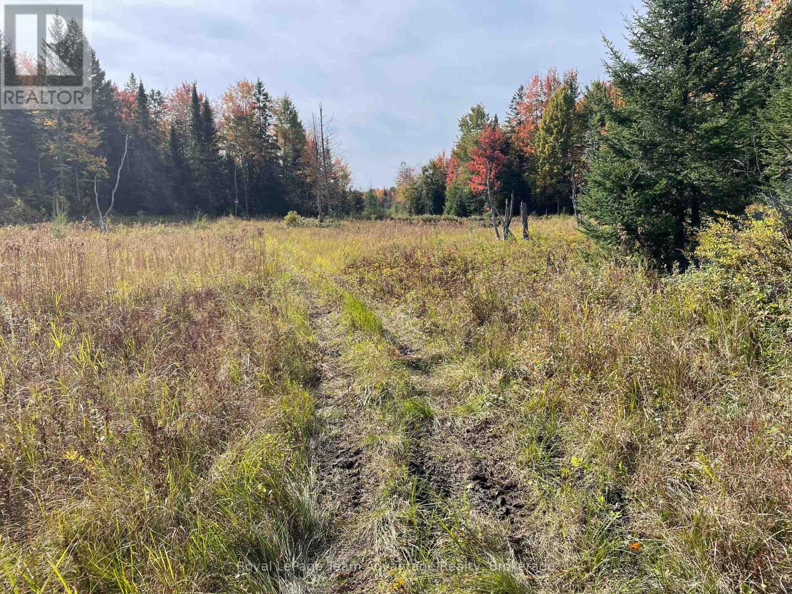 Lt 23 Con 10, Carling, ON