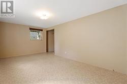 Lower level second bedroom or family room -