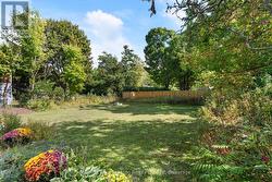 Fenced in back yard -