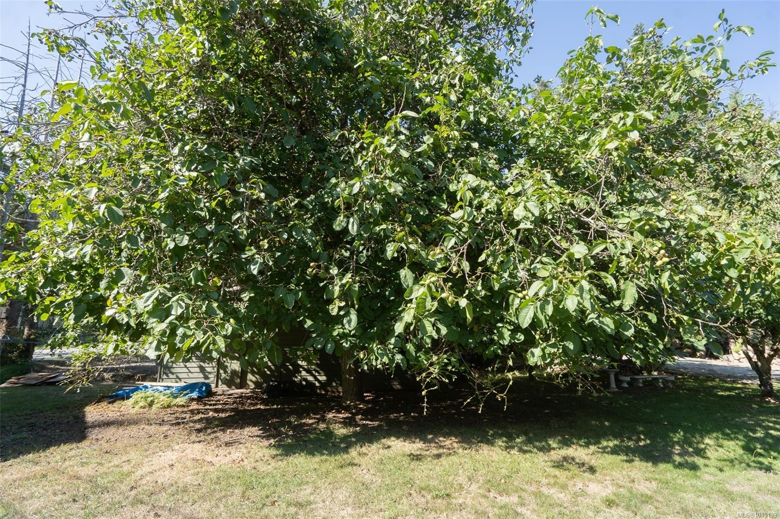 110 Ross Rd, Salt Spring, BC