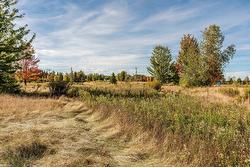 Land/Lot -