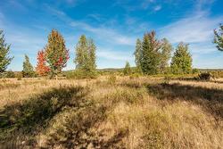 Land/Lot -