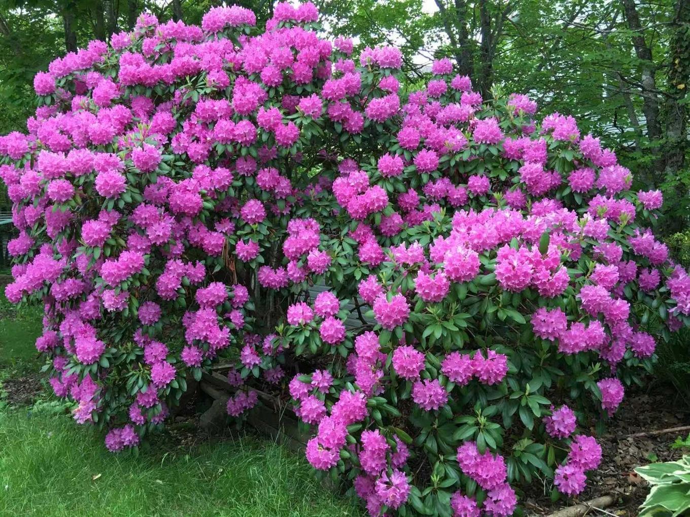 11 Glenbourne Court, Halifax, NS