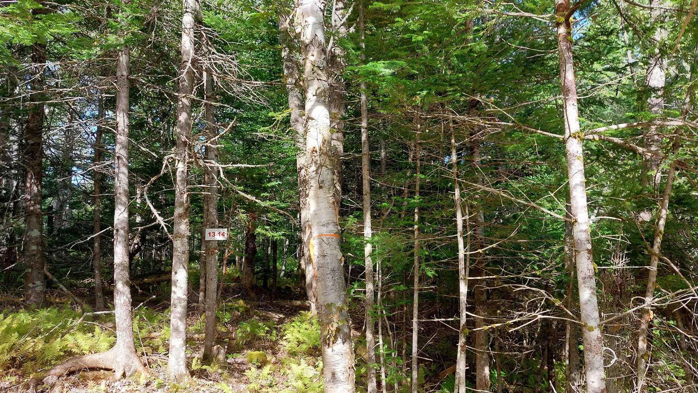 Lot 14 Golden Shore Dr, Marshes (West Bay), NS