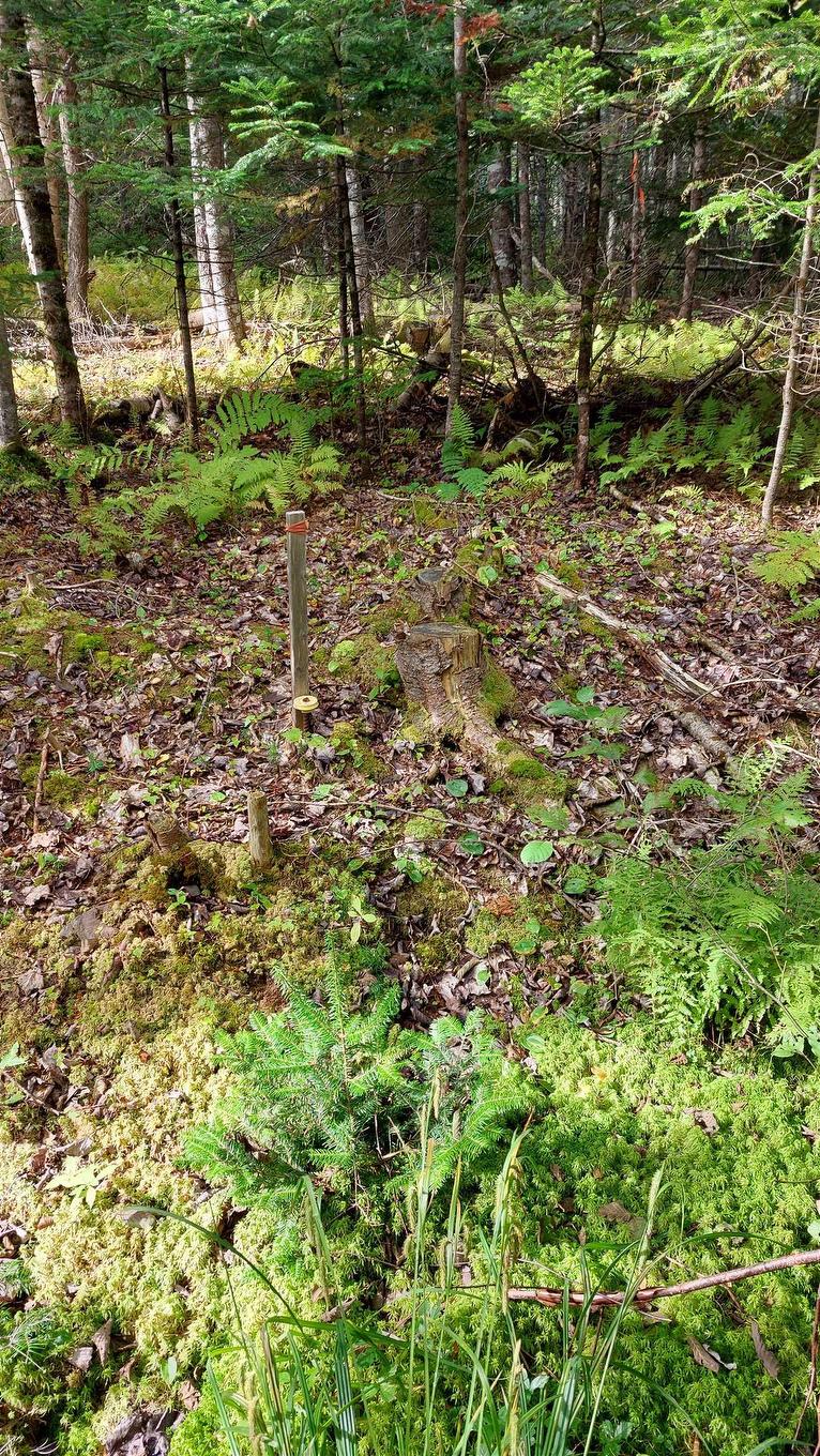 Lot 14 Golden Shore Dr, Marshes (West Bay), NS