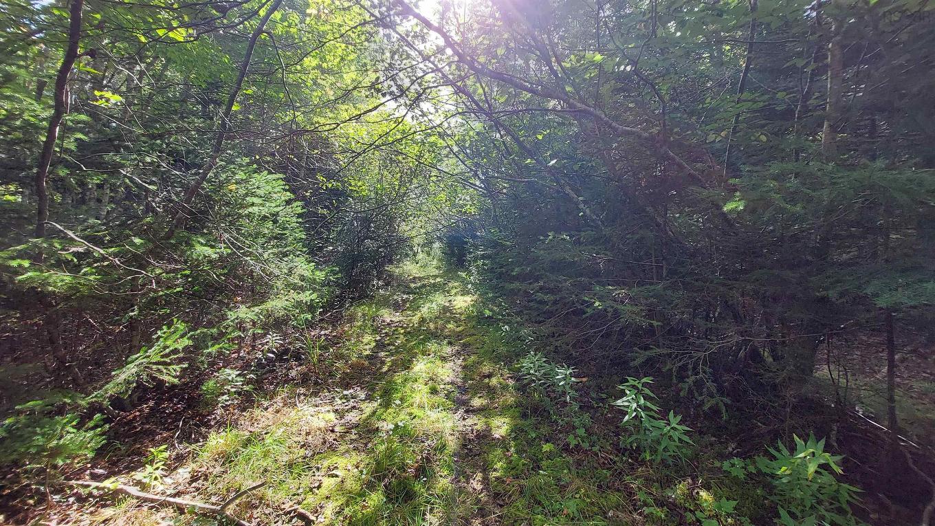 Lot 14 Golden Shore Dr, Marshes (West Bay), NS