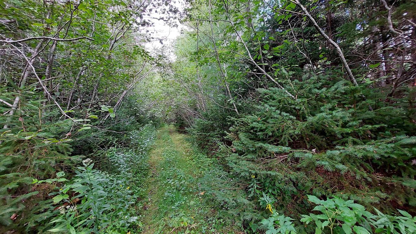 Lot 14 Golden Shore Dr, Marshes (West Bay), NS