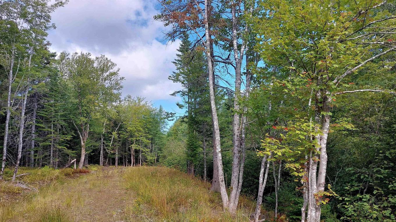 Lot 14 Golden Shore Dr, Marshes (West Bay), NS