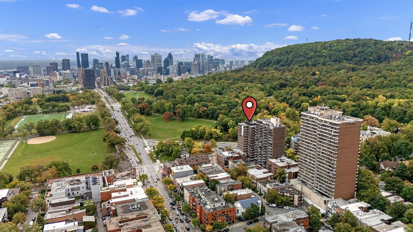 Other - 205-1 Ch. De La Côte-Ste-Catherine, Montréal (Le Plateau-Mont-Royal), QC - Outdoor With View