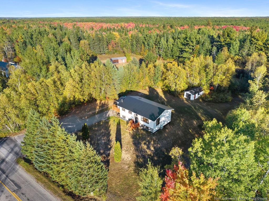 153 Weldfield-Collette Rd, Napan, NB