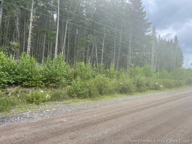 000 Maxwell Rd, Bonny River, NB