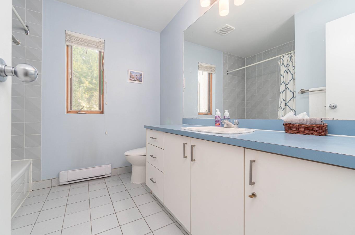 Ensuite bathroom - 2039 Crois. Des Soleils, Mont-Tremblant, QC - Indoor Photo Showing Bathroom