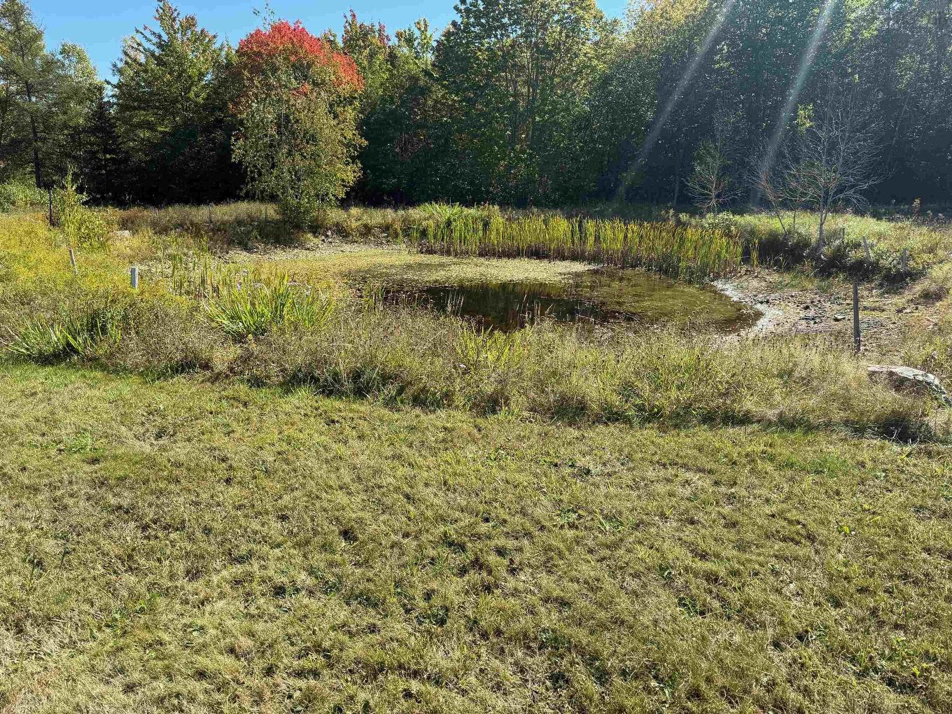 10208 Highway 3, Martins Brook, NS