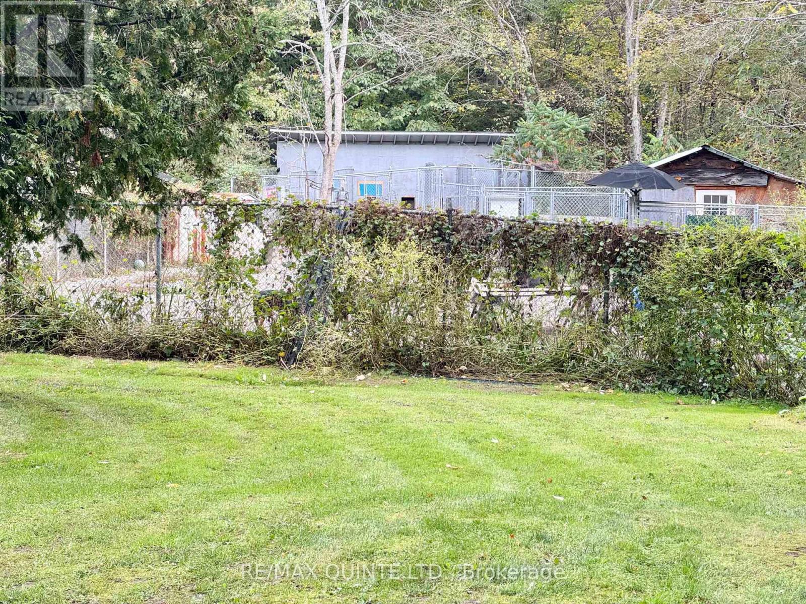 109006 Hwy 7 Highway, Tweed (Elzevir (Twp)), ON - Outdoor