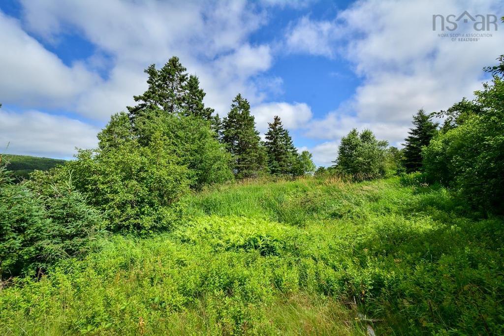 10.4 Acres Kings Road, Howie Centre, NS