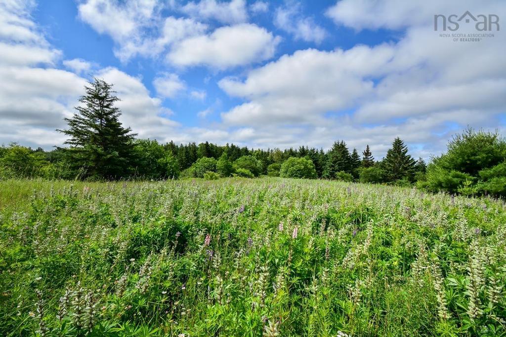 10.4 Acres Kings Road, Howie Centre, NS