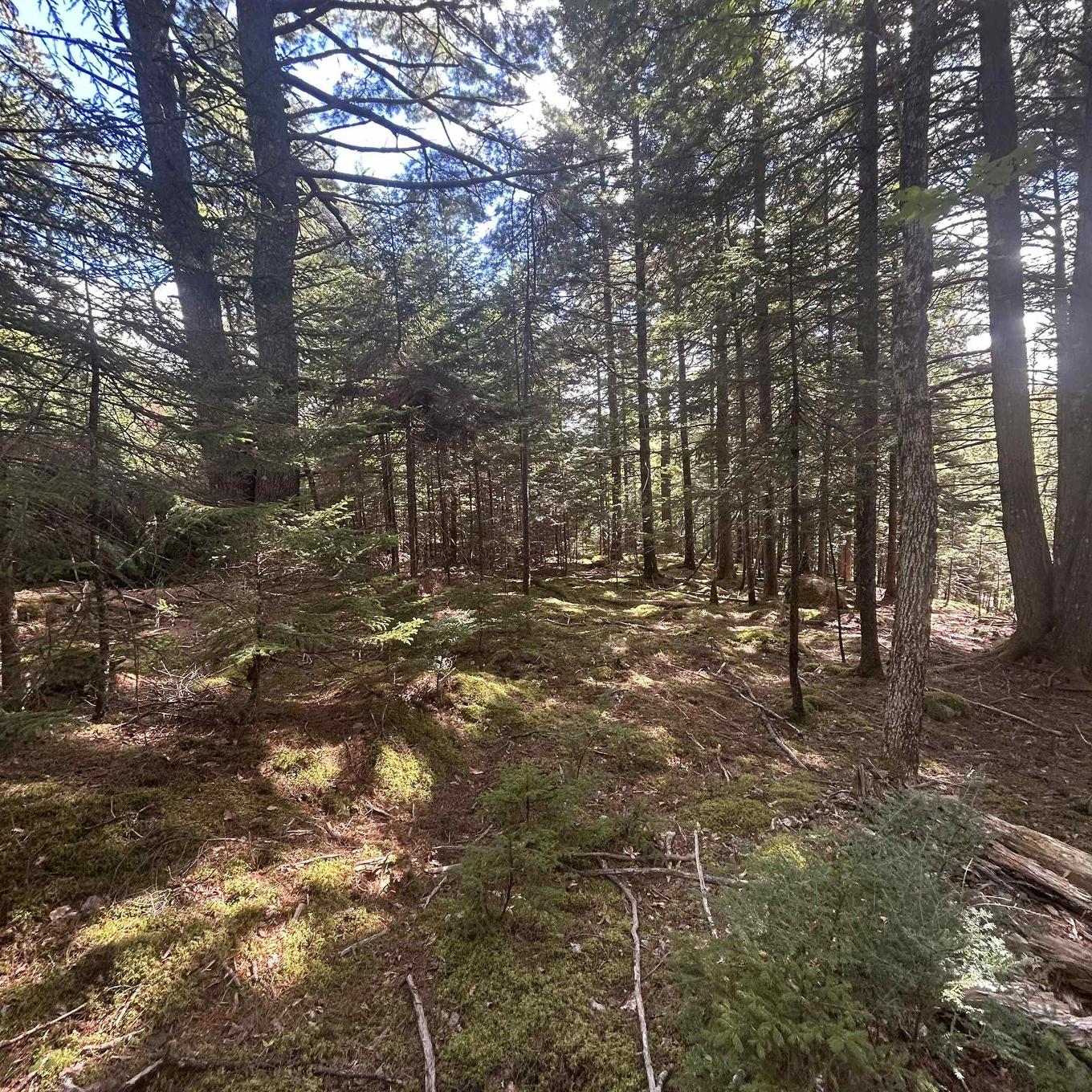 Lot 25-4 Conquerall Mills Road, Conquerall Mills, NS