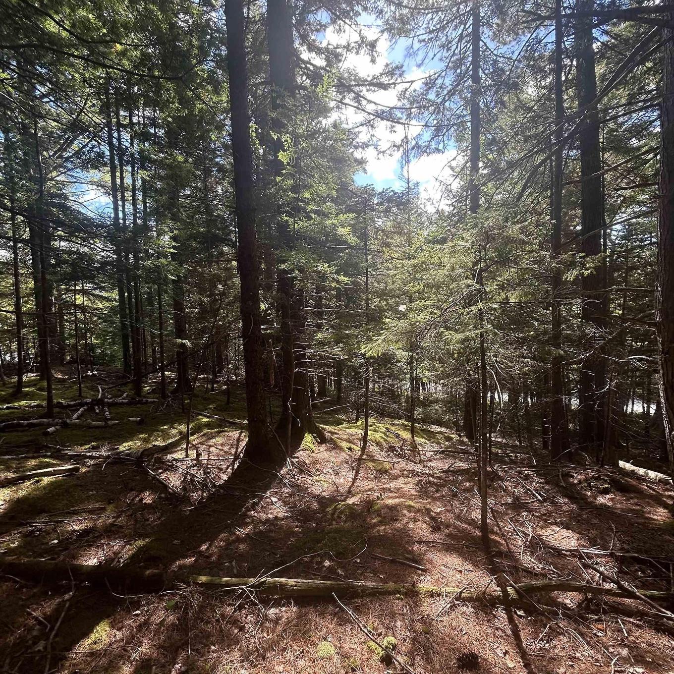 Lot 25-4 Conquerall Mills Road, Conquerall Mills, NS