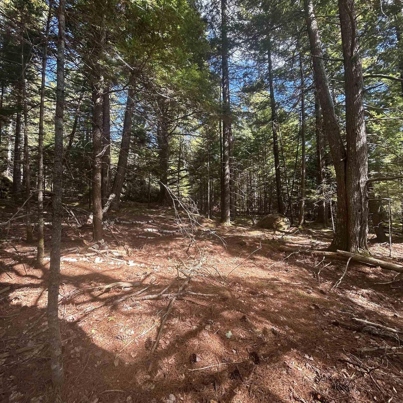 Lot 25-4 Conquerall Mills Road, Conquerall Mills, NS