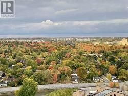 Fall Views from the Balcony -