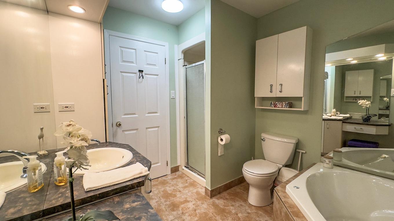 Bathroom - 130 Ch. Danis, Grenville-Sur-La-Rouge, QC - Indoor Photo Showing Bathroom