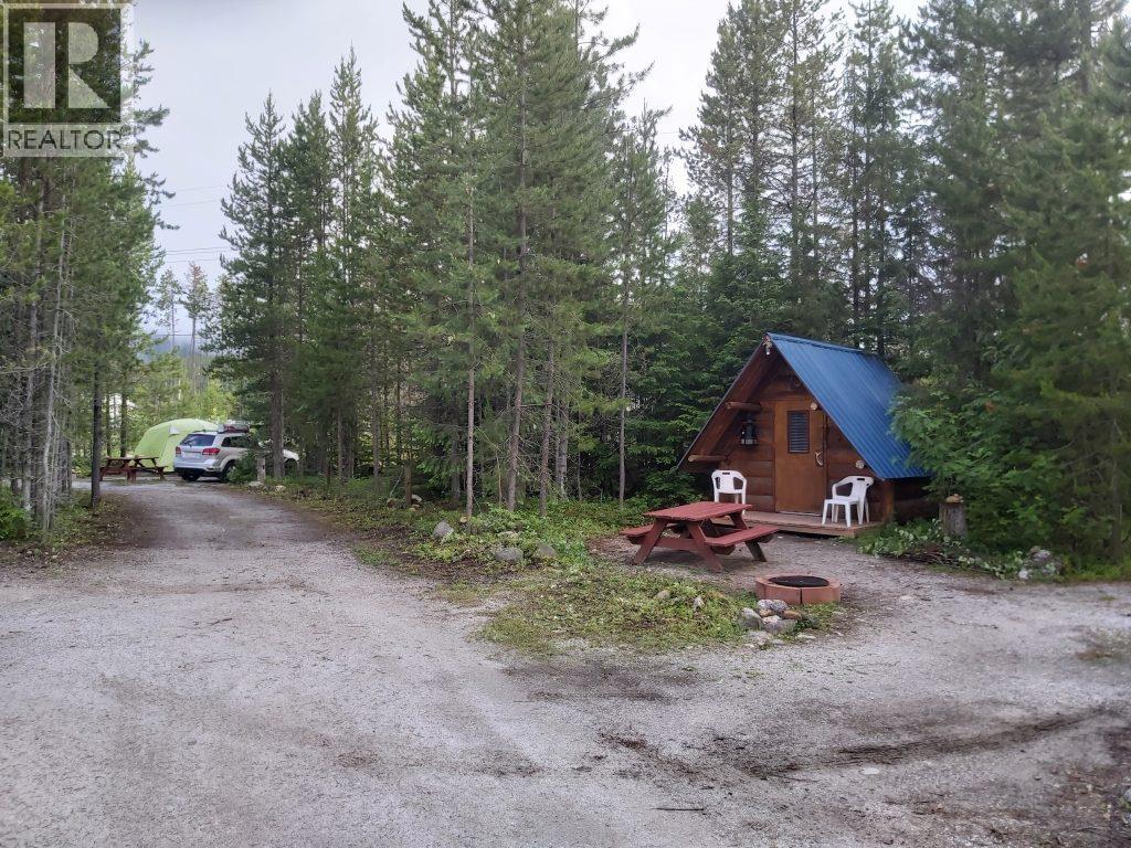 991 West Frontage Road, Blue River, BC