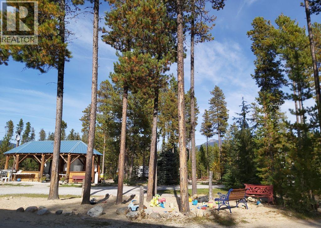 991 West Frontage Road, Blue River, BC