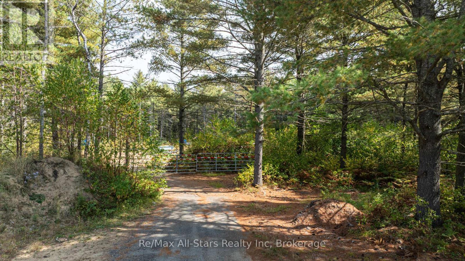 Level Property - 25798 Highway 35 Highway, Lake Of Bays (Franklin), ON