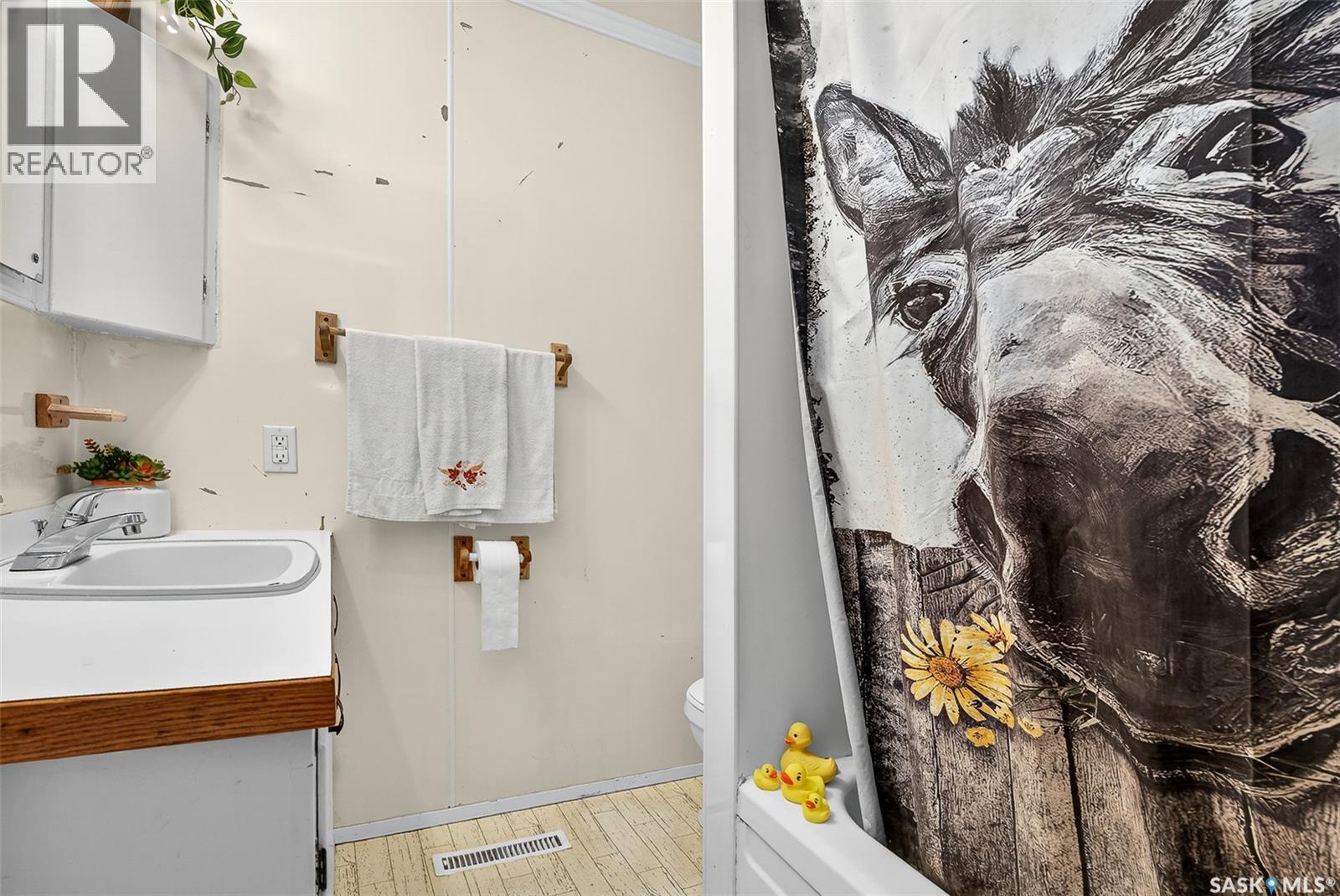 Kalium Road Acreage, Pense Rm No. 160, SK - Indoor Photo Showing Bathroom