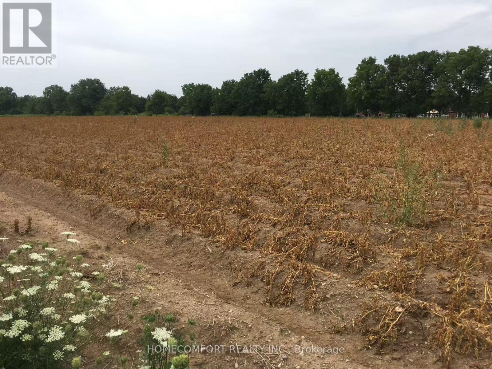 1409 1/2 Centre Road W, Hamilton, ON