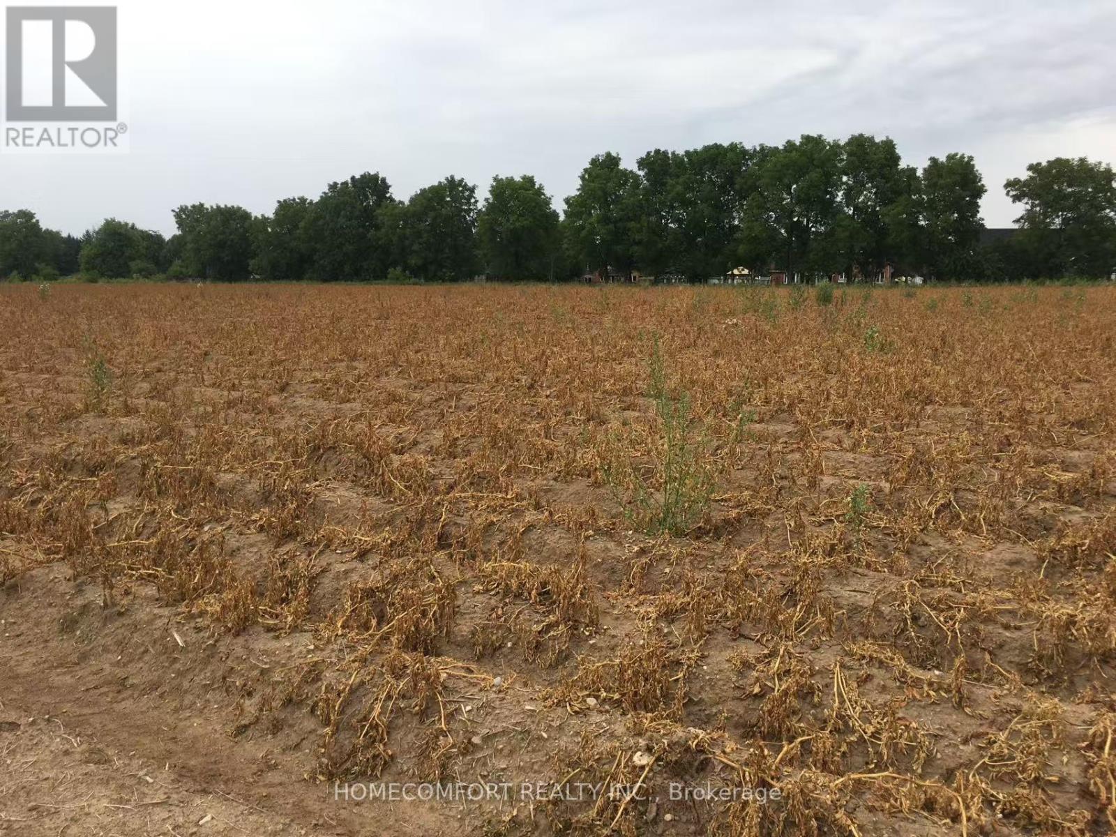 1409 1/2 Centre Road W, Hamilton, ON