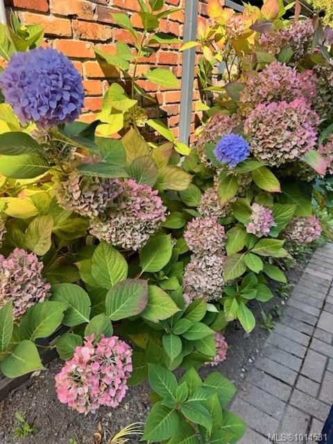 111 Michigan St, Victoria, BC