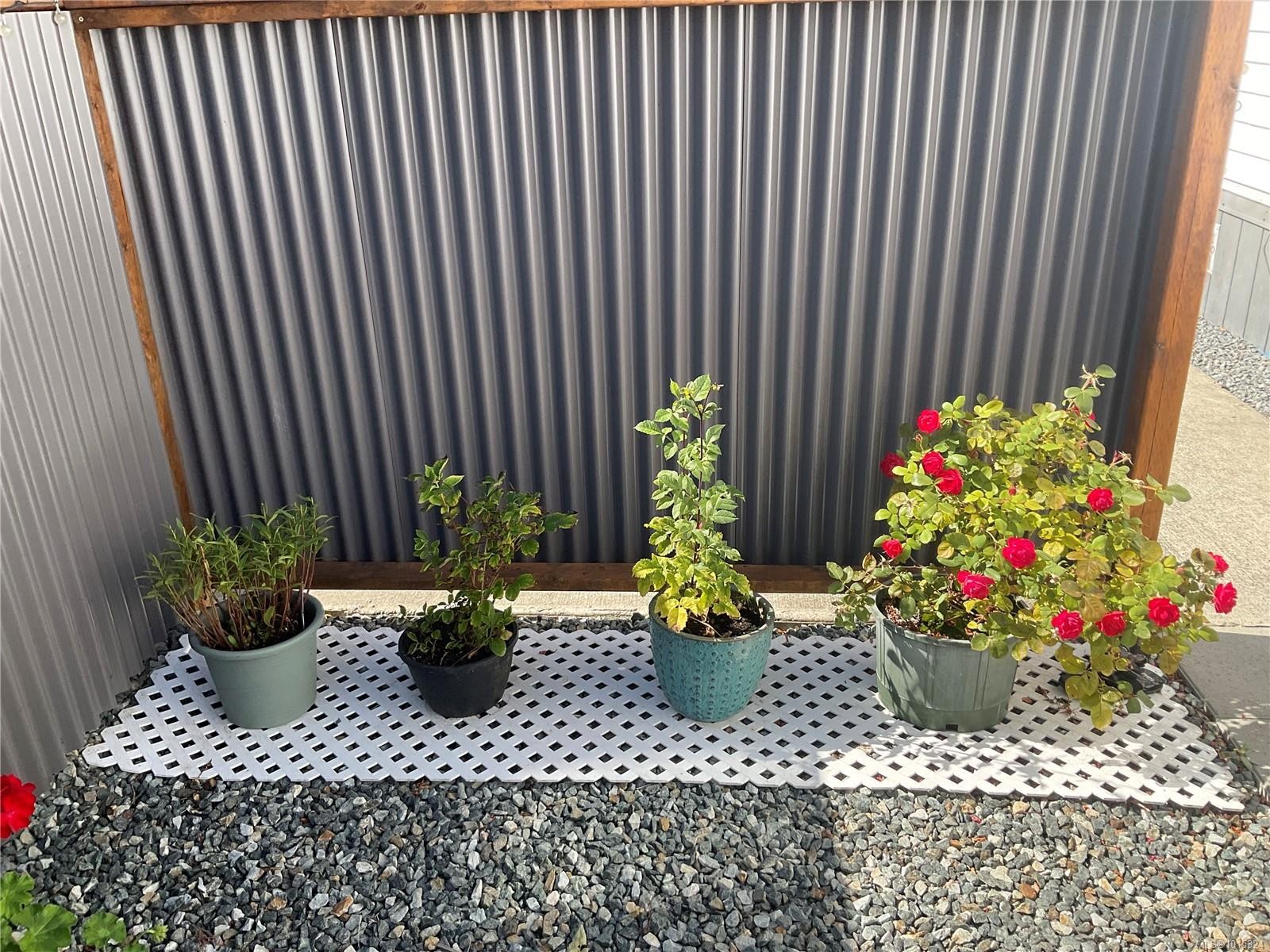 79-3497 Gibbins Rd, Duncan, BC