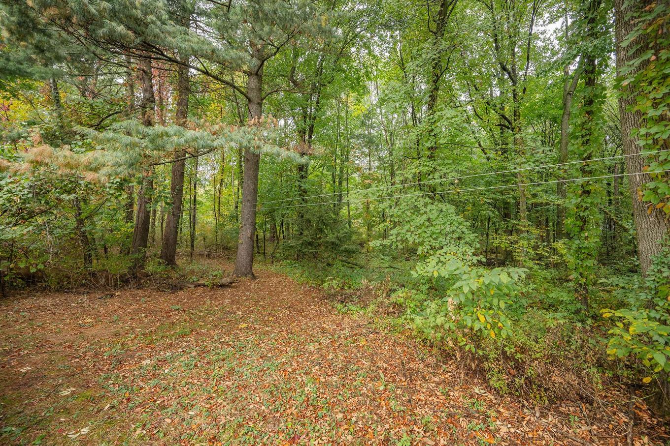 Wooded area - 246 48E Rue O., Venise-En-Québec, QC - Outdoor