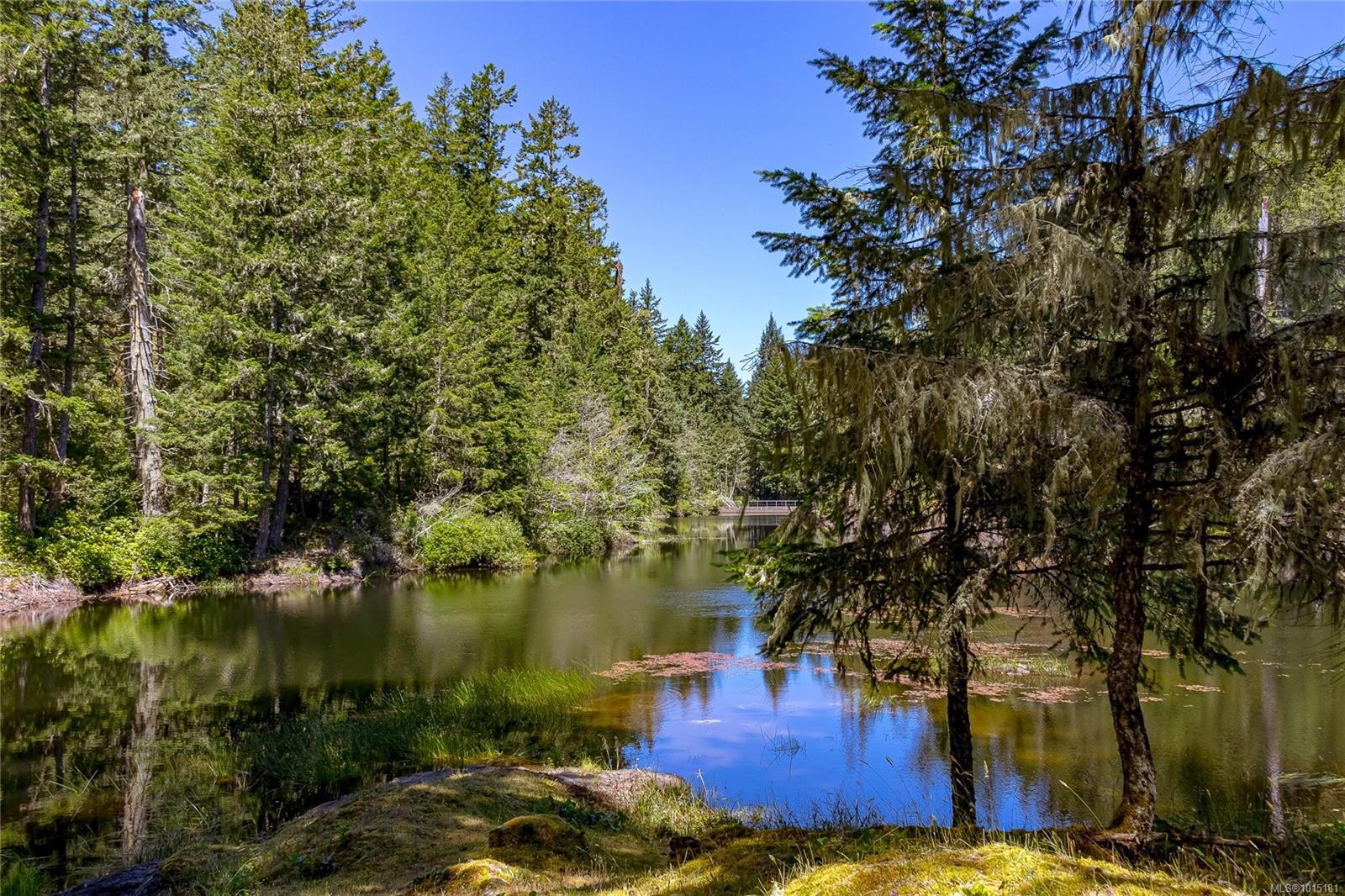 4928 Mt. Matheson Rd, Sooke, BC