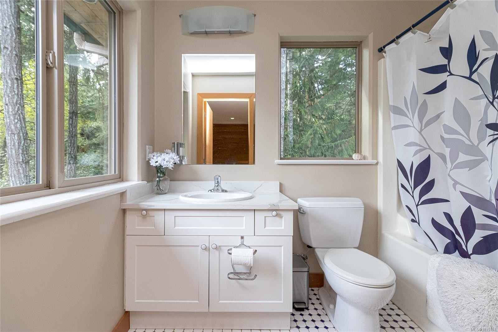 4928 Mt. Matheson Rd, Sooke, BC