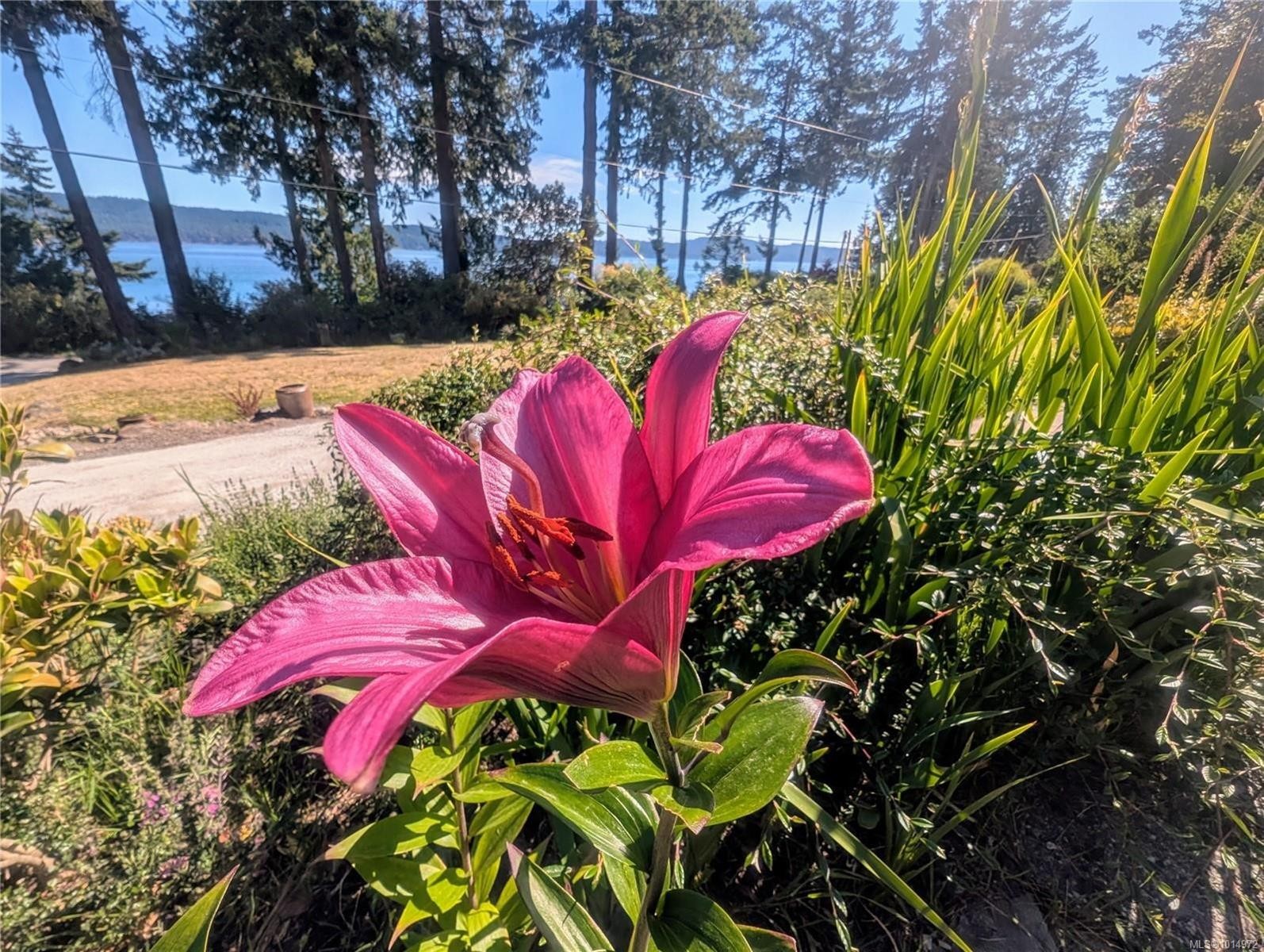 1214 North Beach Rd, Salt Spring, BC